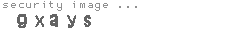 security code
