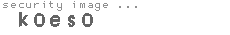 security code